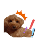 愛犬ちょこびのスタンプ（個別スタンプ：21）