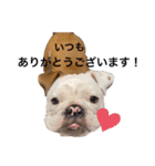 パテとペンチ（お仕事用）（個別スタンプ：40）