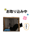 シェルティ 来（個別スタンプ：32）