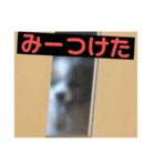ランと混ざり物（個別スタンプ：6）