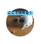 ランと混ざり物（個別スタンプ：7）