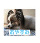 ランと混ざり物（個別スタンプ：8）