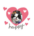 ♡シュート♡（個別スタンプ：10）