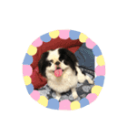 ♡シュート♡（個別スタンプ：19）