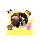 ♡シュート♡（個別スタンプ：39）
