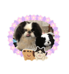 ♡シュート♡（個別スタンプ：40）