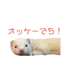 フェレちゃんスタンプ（個別スタンプ：10）