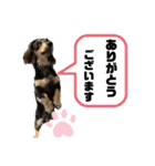 大豆くんときどきVIVIちゃん最後にCLIP（個別スタンプ：13）