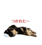 大豆くんときどきVIVIちゃん最後にCLIP（個別スタンプ：17）