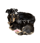 大豆くんときどきVIVIちゃん最後にCLIP（個別スタンプ：28）