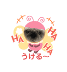 シーズーのくっき〜日常会話スタンプ（個別スタンプ：10）