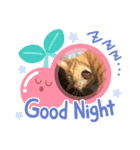 ラフちゃんだよ（個別スタンプ：2）