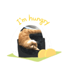 ラフちゃんだよ（個別スタンプ：3）