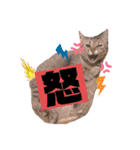 Tetoすた♡♡（個別スタンプ：2）