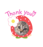Tetoすた♡♡（個別スタンプ：8）