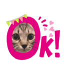 Tetoすた♡♡（個別スタンプ：11）
