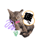 Tetoすた♡♡（個別スタンプ：14）