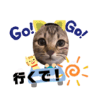 Tetoすた♡♡（個別スタンプ：16）