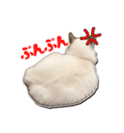 世界の諭吉（個別スタンプ：6）
