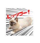 世界の諭吉（個別スタンプ：7）