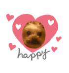 めめちゃん♥（個別スタンプ：1）