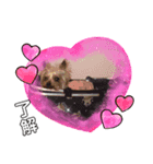 めめちゃん♥（個別スタンプ：2）
