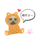 めめちゃん♥（個別スタンプ：4）