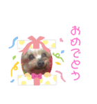 めめちゃん♥（個別スタンプ：6）