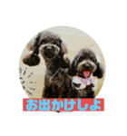 ワンズのつぶやき〜（個別スタンプ：1）