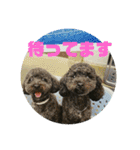 ワンズのつぶやき〜（個別スタンプ：5）