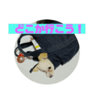 ワンズのつぶやき〜（個別スタンプ：9）