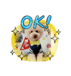 ワンズのつぶやき〜（個別スタンプ：10）