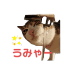 おコメちゃん3（個別スタンプ：2）