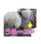 おコメちゃん3（個別スタンプ：3）