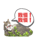 おコメちゃん3（個別スタンプ：5）