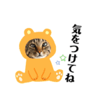 ちまきとあずきのに（個別スタンプ：19）