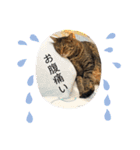 ちまきとあずきのに（個別スタンプ：30）