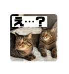 ちまきとあずきのに（個別スタンプ：32）