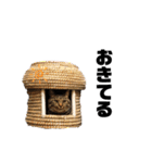 ちまきとあずきのに（個別スタンプ：40）