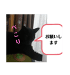 nagisa8（個別スタンプ：2）