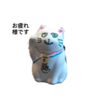 nagisa8（個別スタンプ：3）