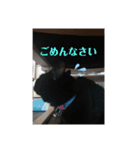 nagisa8（個別スタンプ：5）
