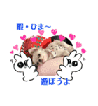 可愛いチワワちゃんの日常（個別スタンプ：6）
