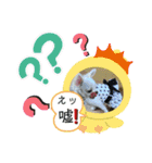 可愛いチワワちゃんの日常（個別スタンプ：15）