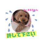 足もみ屋さんの癒し犬まるちゃんです♪（個別スタンプ：5）