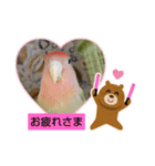 kawafamily27（個別スタンプ：1）