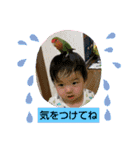 kawafamily27（個別スタンプ：5）