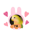 kawafamily27（個別スタンプ：13）