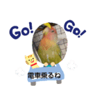 kawafamily27（個別スタンプ：14）