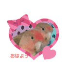 kawafamily27（個別スタンプ：16）